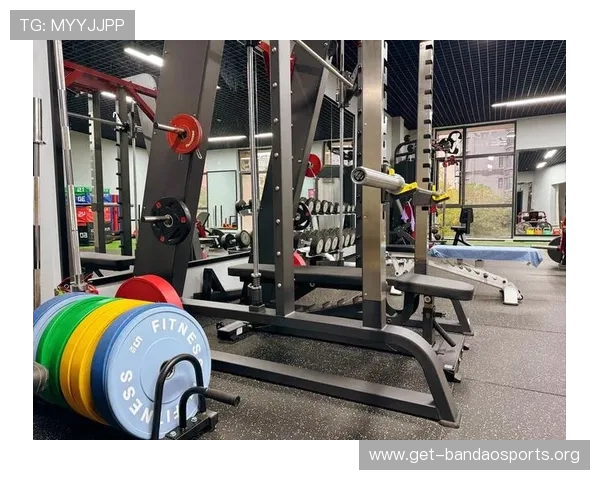 体育器材屋专业供应多功能运动器材，助力家庭和企业打造安全高效的运动训练场所